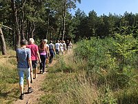 Foto van groep wandelaars Balance Support in het bos