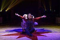 Foto circusoptreden met honden