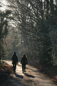 Foto van wandelaars in bos (Unsplash Freestock)