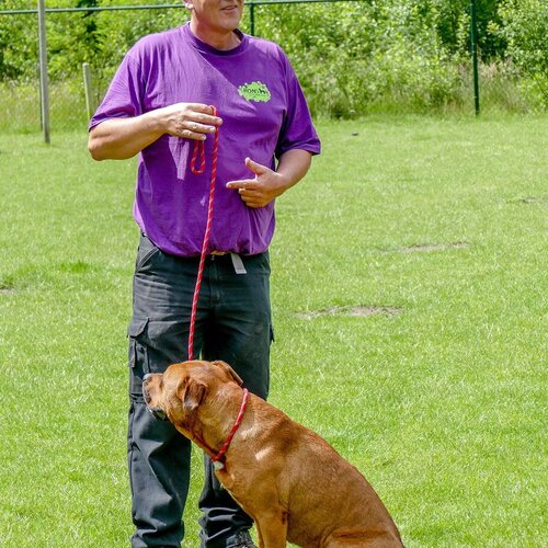 Foto van een man met een hond aan de lijn (Ron's Dog Care)
