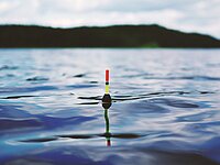 Foto van een meer met een dobber in het water