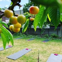 Foto van een tuin met yogamatten van PilatesYogi