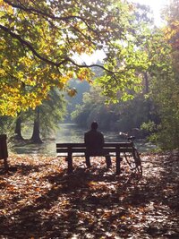 Foto van man alleen op bank in het park in de herfst