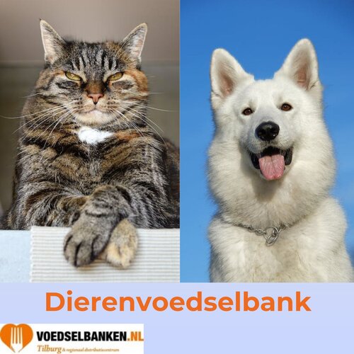 Foto van huiskat en husky met logo van de voedselbank